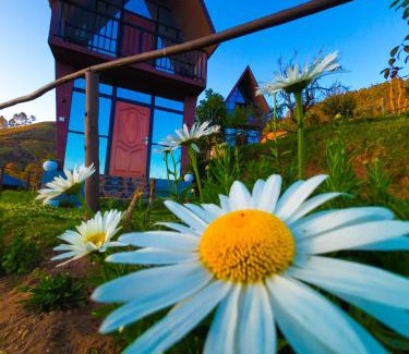 Vilpatti Casa | Hie Moksha Glamping