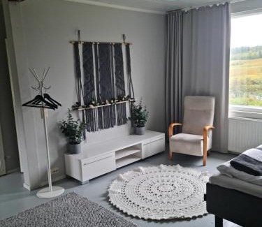 Aanekoski Casa | Hietaman Vierastalo Jokipääty