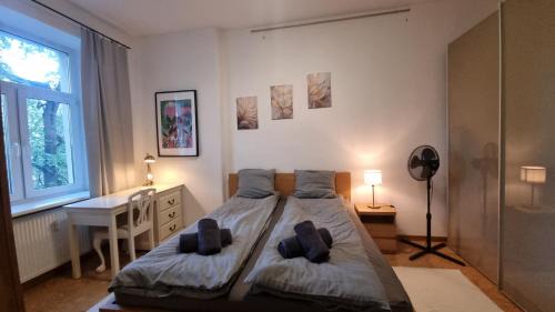Kesklinn Apartamento | High ceilings 75m2 Sleeps 9 Free parking