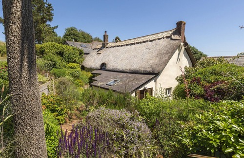 Kingsbridge Cabaña | Higher Collaton Cottage