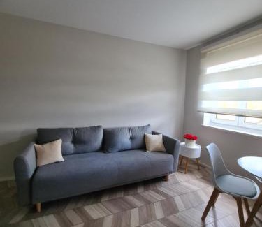Hochfeld Apartamento | Highfield 2 rooms Apartment