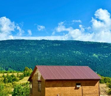 Ambrolauri Casa | Highland breeze - მთის ნიავი