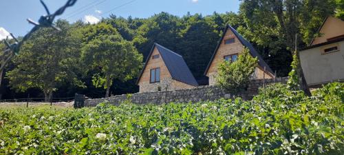 Savnik Chalet De Esquí | Highland Cabins Krnja Jela
