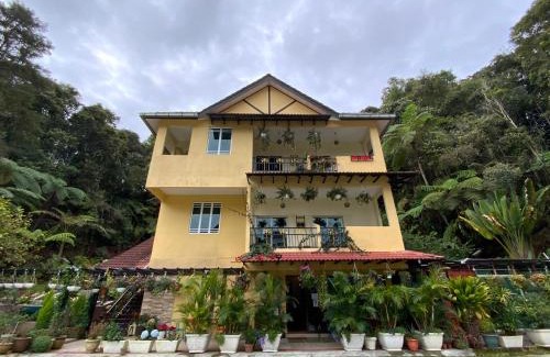 Tanah Rata Casa | Highlanders Garden Guesthouse at Arundina Cameron Highlands