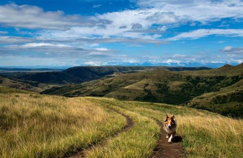 Okhahlamba Apartamento | Highlands Farm House