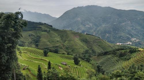 Ban Pho Casa | Higland Homestay Bac Ha
