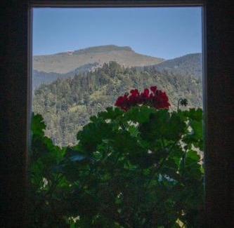 Zgornja Sorica Casa | Hikers Hut Pr Blažu