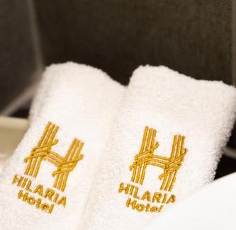 Zona centro Hotel | Hilaria