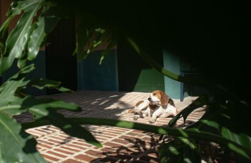 Dong Hoa Casa | Hill Village Phu Yen