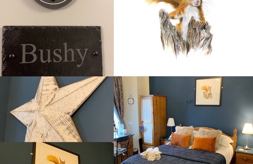Ambleside Cama Y Desayuno | Hillsdale in Ambleside