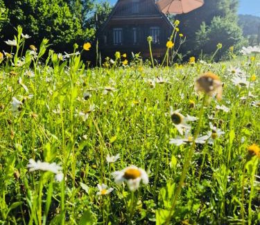 Glola Apartamento | Hilltop Glola