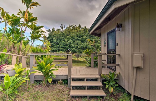 Hilo Apartamento | ¡NUEVO! Retiro de parejas de Hilo ~ 6 millas a la playa de Honoli'i!