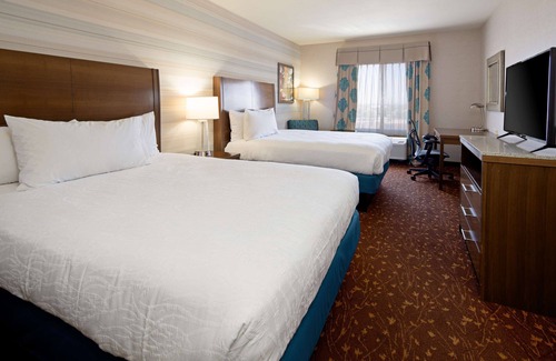 Albuquerque Hotel | Hilton Garden Inn Albuquerque Airport