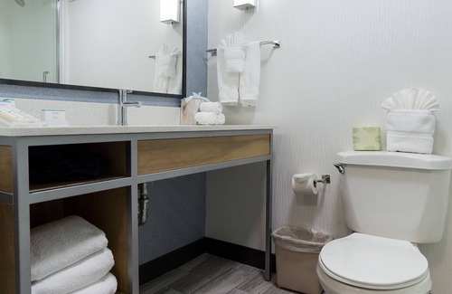 Johns Creek Hotel | Hilton Garden Inn Atlanta North/Johns Creek