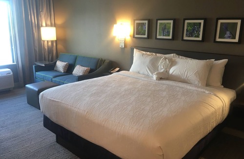 Montopolis Hotel | Hilton Garden Inn Austin Airport
