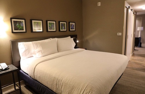 Montopolis Hotel | Hilton Garden Inn Austin Airport