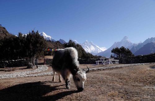 Namche Bazaar Cabina | Himalaya Sanso