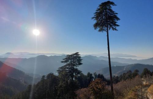 Theog Casa | Himalayan Cedar