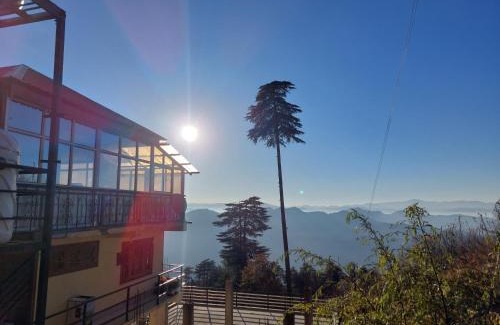 Theog Casa | Himalayan Cedar