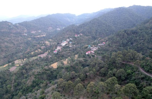 Kuthar Casa | Himalayan Hits Kasauli