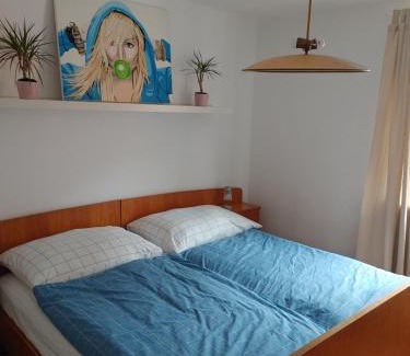 Ebensee Apartamento | Himmel