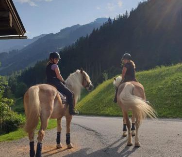 Maria Alm am Steinernen Meer Apartamento | Hinterjetzbachhof