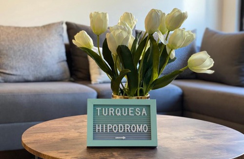 Tijuana Apartamento | Hipódromo by Turquesa