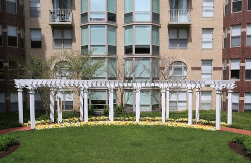 Penn Quarter Apartamento | Hip Penn Quarter 1BR w/ Gym, W/D, Pool, nr. National Mall by Blueground