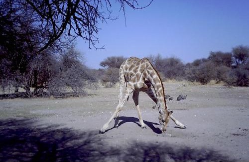 Gobabis Apartamento | Hippo Farm Apartment
