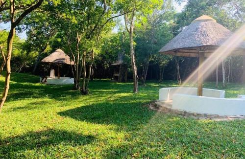 St. Lucia Complejo | Hippo Head Resort