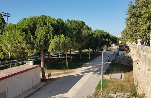 El Botanic Apartamento | Historic Botanical Center. Very quiet, centrally located. No nightlife on the street
