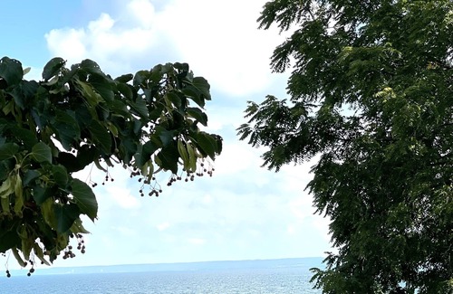 Burlington Cabaña | Historic & Charming Lakefront Gem in Burlington
