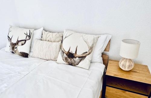 Aigle Apartamento | Historic House between Montreux Leysin and Villars