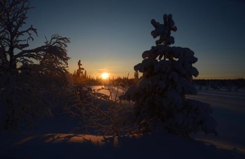 Ljordal Apartamento | Hjørnet - Fulufjellets nasjonalparker - snø - alpint - langrenn - snøscooter