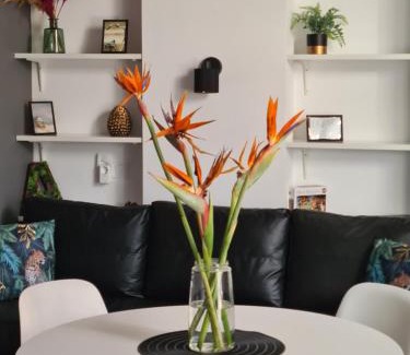 Na Rovella Apartamento | Hlius Brand New Apartments