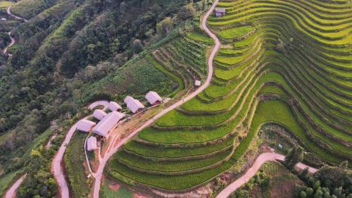 Thong Nguyen Cama Y Desayuno | Hoàng Su Phì - Móng Ngựa Homestay