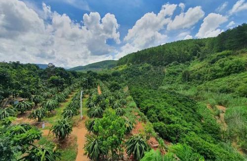 Da Lat Casa | Hoa Sơn Điền Viên Homestay