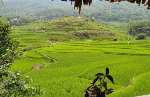 Ba Thuoc Cama Y Desayuno | Hoanh Thắng Homestay