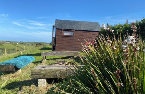 Penryn Cabina | Hobbit hut with stunning valley views near Falmouth