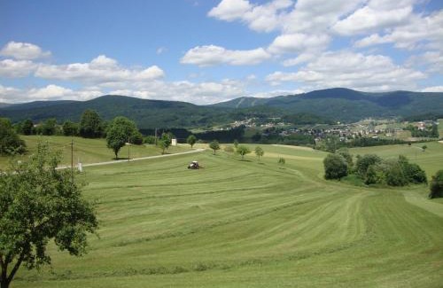 Ulrichsberg Apartamento | HOCHFICHTBLICK Apartments
