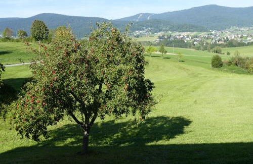 Ulrichsberg Apartamento | HOCHFICHTBLICK Apartments