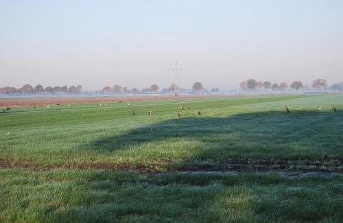 Municipality of Hardenberg Cama Y Desayuno | Hoeve de Heemser Parel