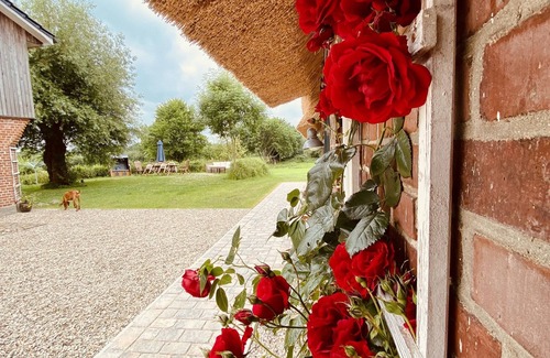 Stenderup Casa | Hof Goosend - Urlaub an der Schlei & Ostsee