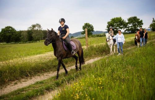 Niederberndorf Apartamento | Hof Köhne - Altes Bauernhaus - Wohnung Pony