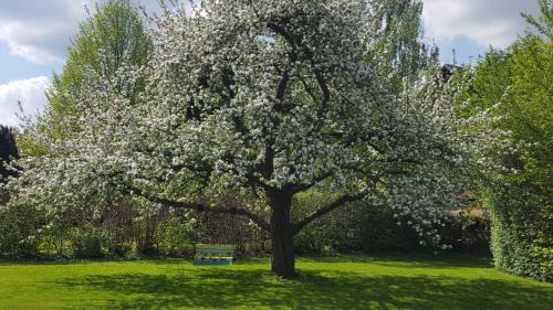 Hessisch Oldendorf Apartamento | Hof Klostermann