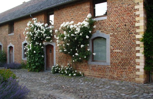 Millen Casa | Hof van Eggertingen nr. 8