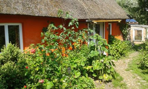 Kuckenshagen Apartamento | Hofboddenblick