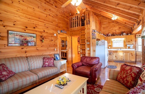 Cherry Log Cabina | Hog Heaven - Cherry Log GA