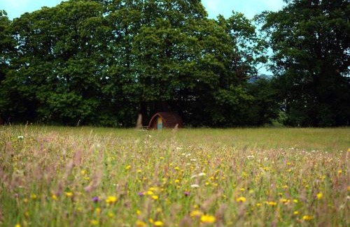 Bridport Otro | Hogchester Meadow Pods
