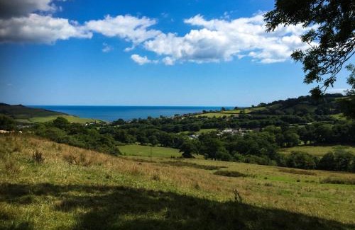Bridport Otro | Hogchester Meadow Pods